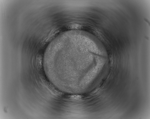 X0000103160363200809121843