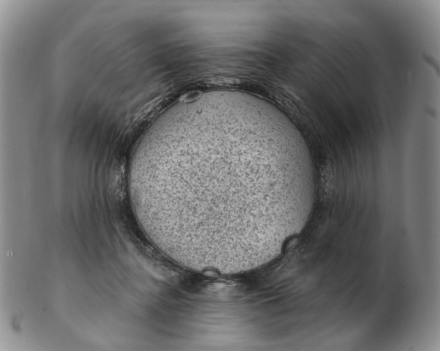 X0000103160364200809121843