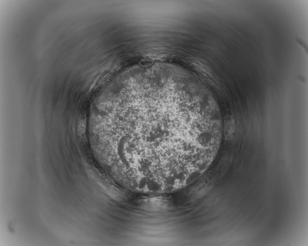 X0000103160365200809121843