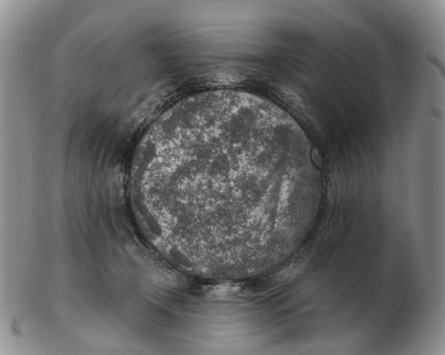 X0000103160366200809121843