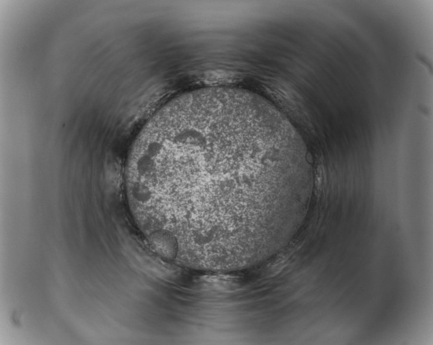 X0000103160367200809121843