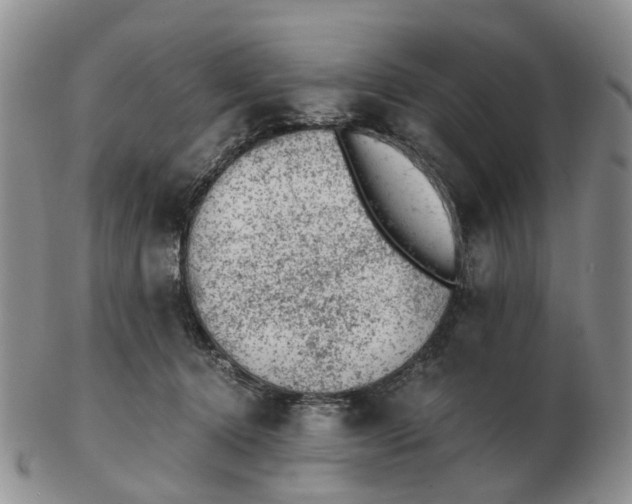 X0000103160368200809121843