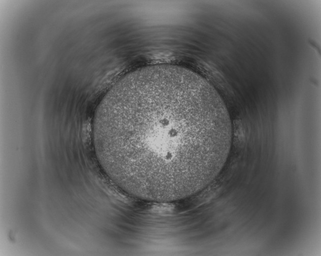 X0000103160369200809121843