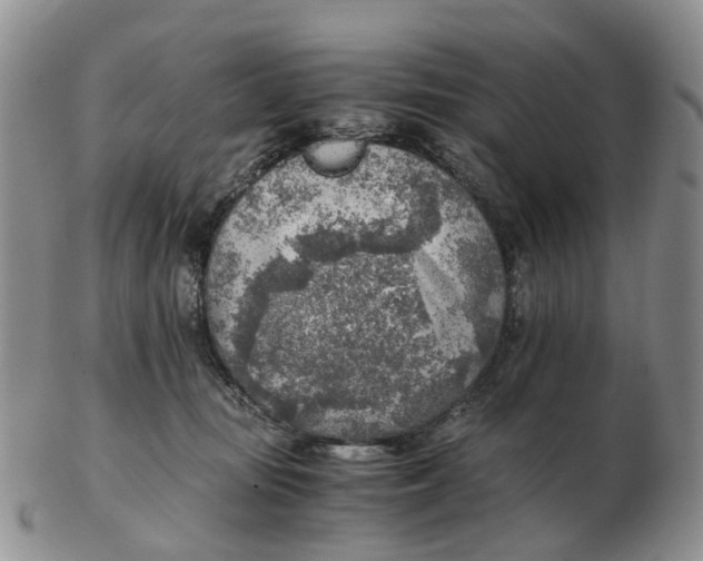 X0000103160371200809121843