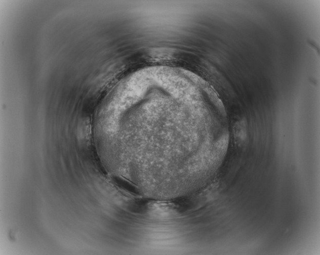 X0000103160372200809121843