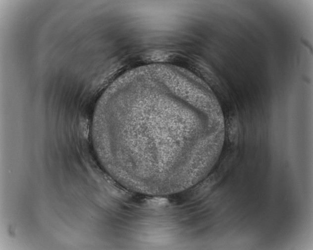 X0000103160374200809121843