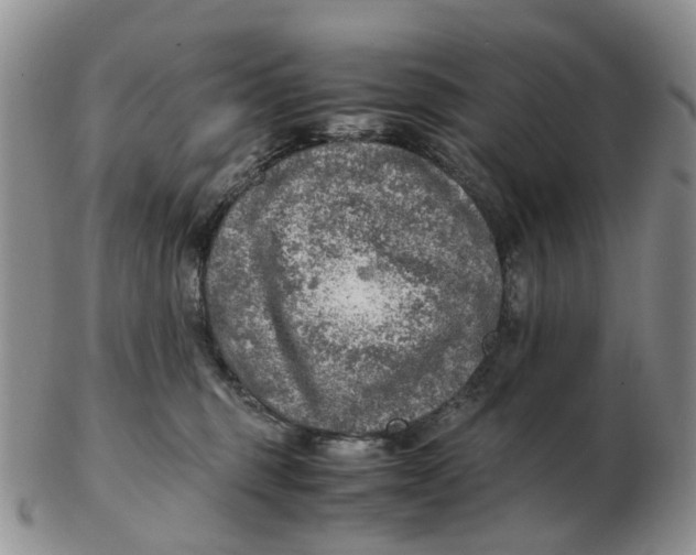 X0000103160375200809121843