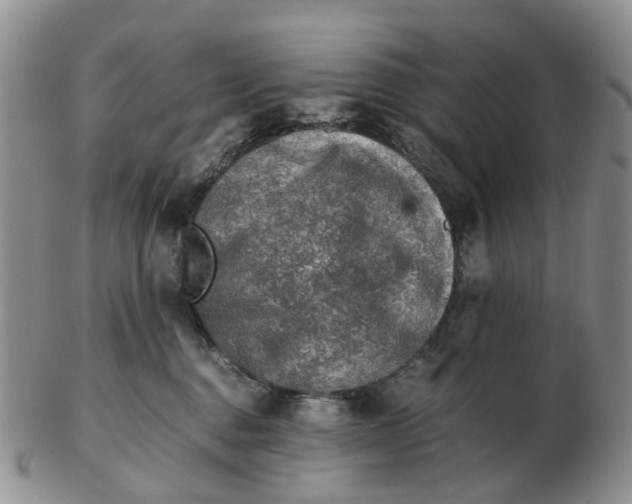 X0000103160376200809121843