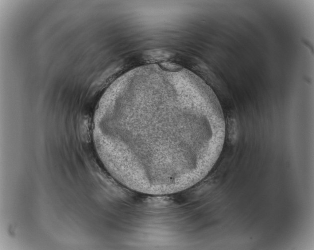 X0000103160378200809121843