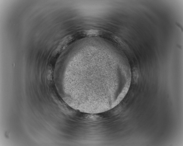 X0000103160379200809121843