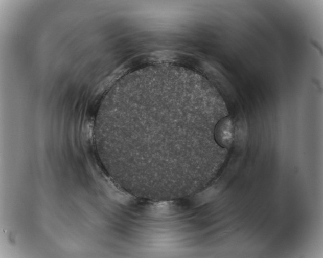 X0000103160382200809121843