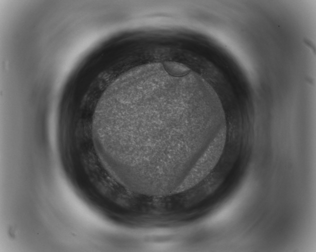 X0000103160383200809121843