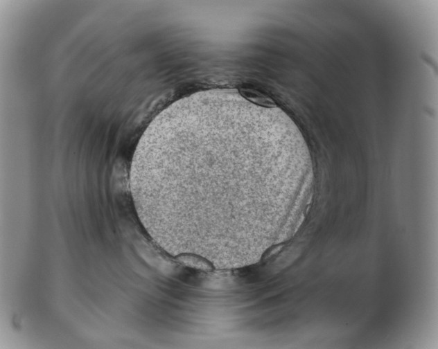 X0000103160384200809121843