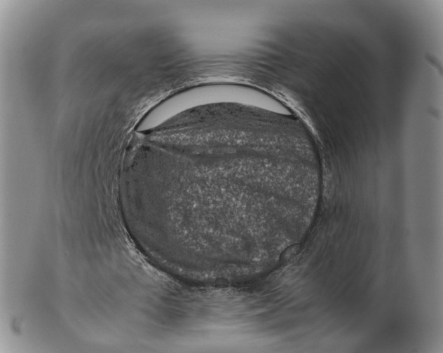 X0000103160385200809121842