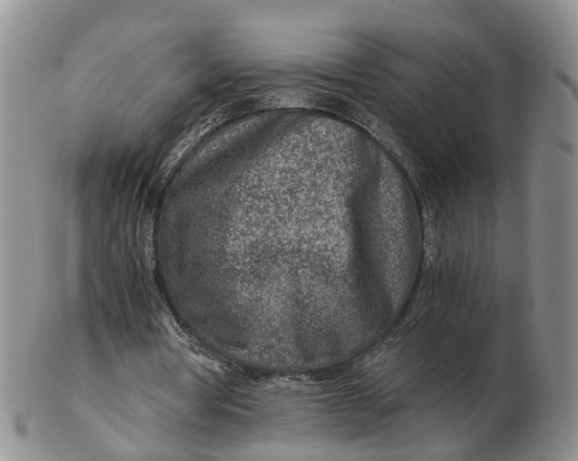 X0000103160386200809121842