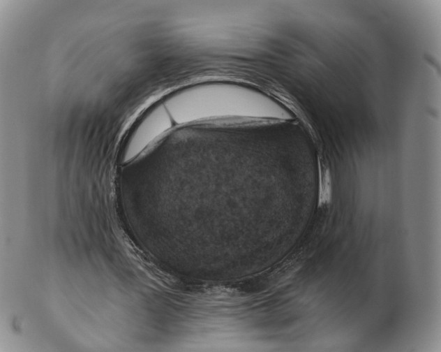 X0000103160387200809121842