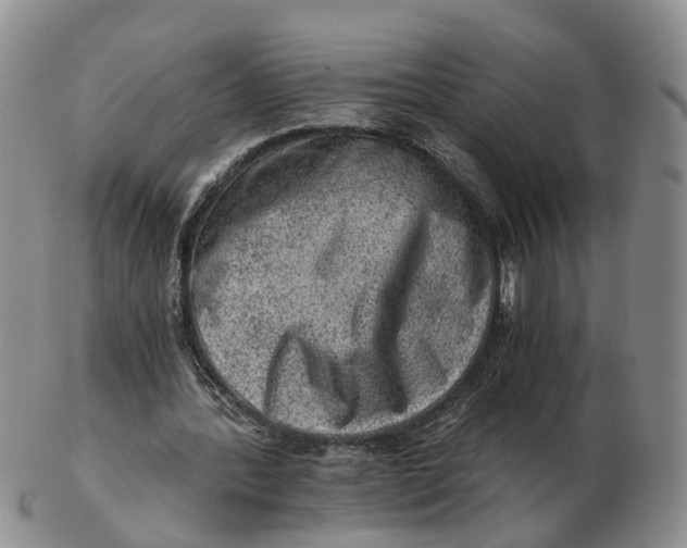 X0000103160388200809121842