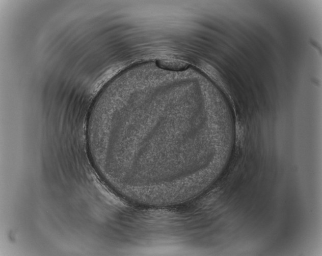 X0000103160389200809121842