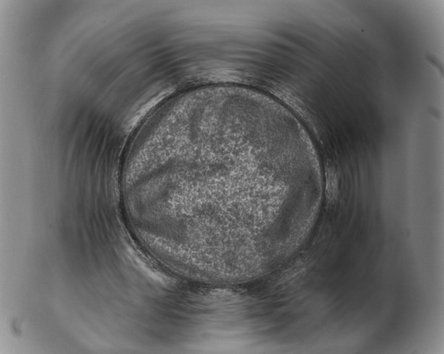 X0000103160390200809121842