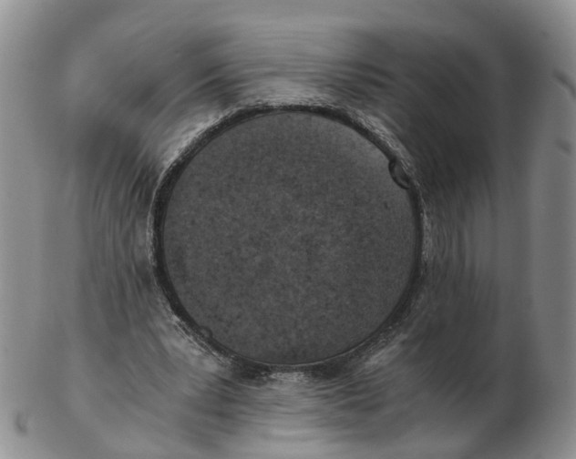 X0000103160391200809121842