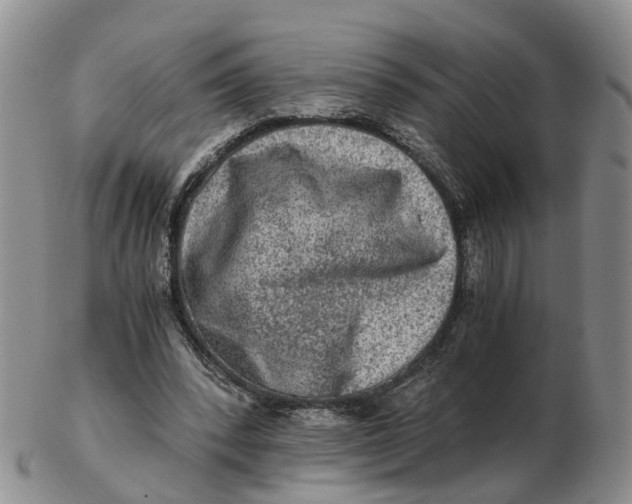 X0000103160392200809121842