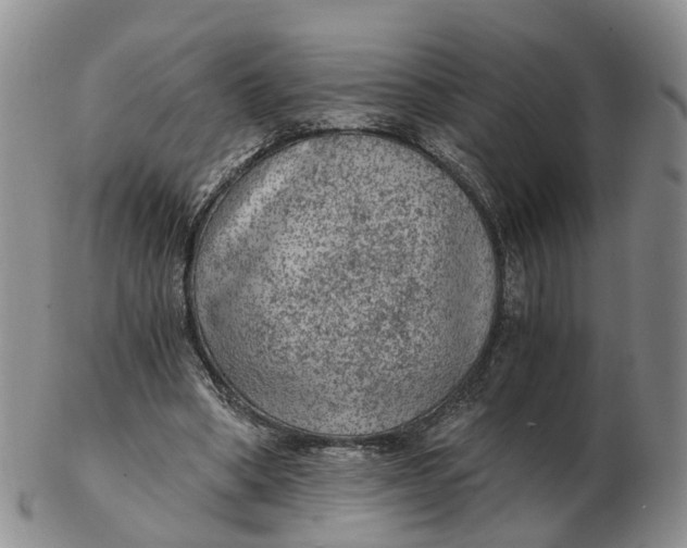 X0000103160394200809121842