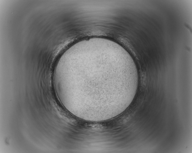 X0000103160395200809121842