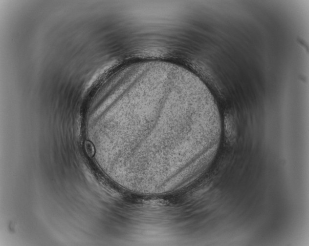 X0000103160396200809121842