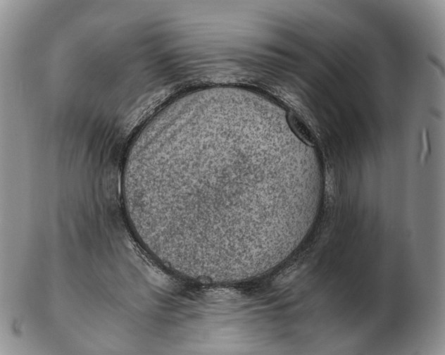 X0000103160397200809121842