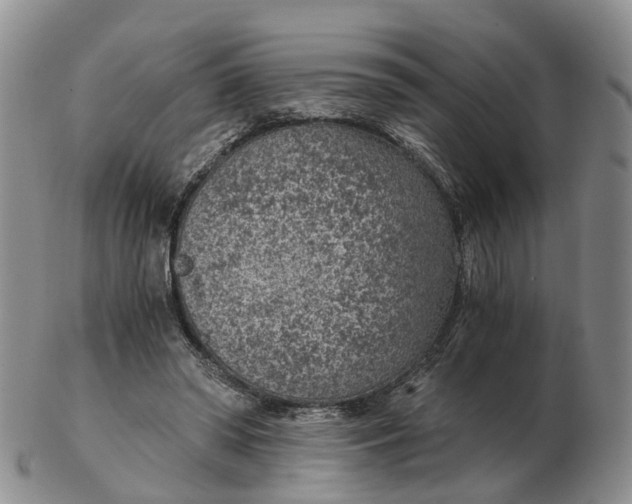 X0000103160398200809121842