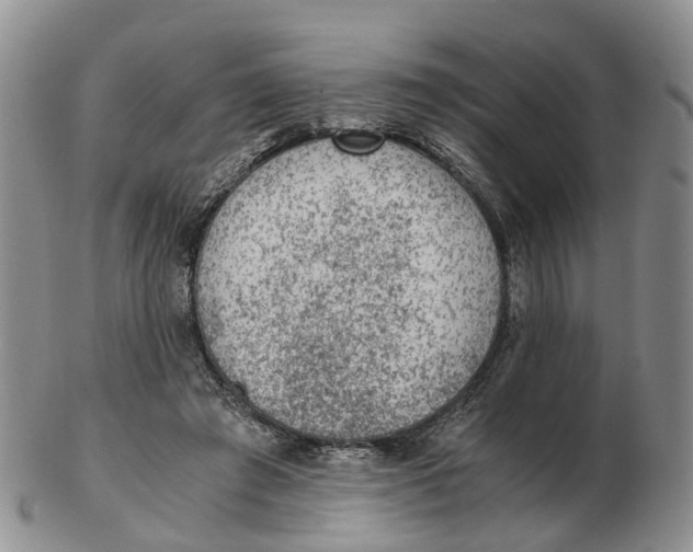 X0000103160401200809121842