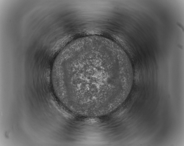 X0000103160402200809121842