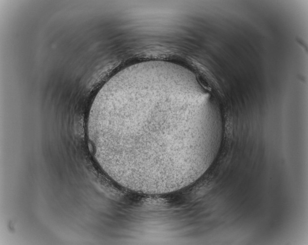 X0000103160403200809121842