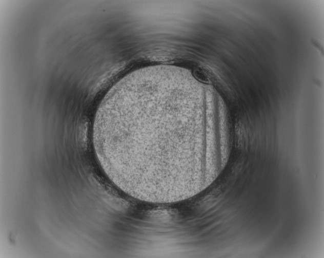 X0000103160404200809121842