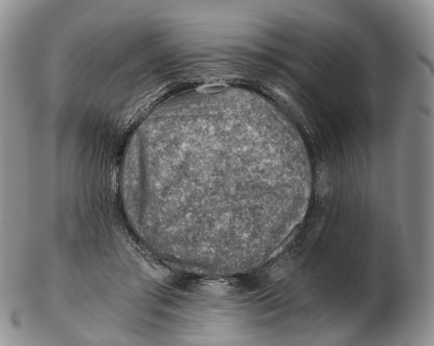 X0000103160405200809121842