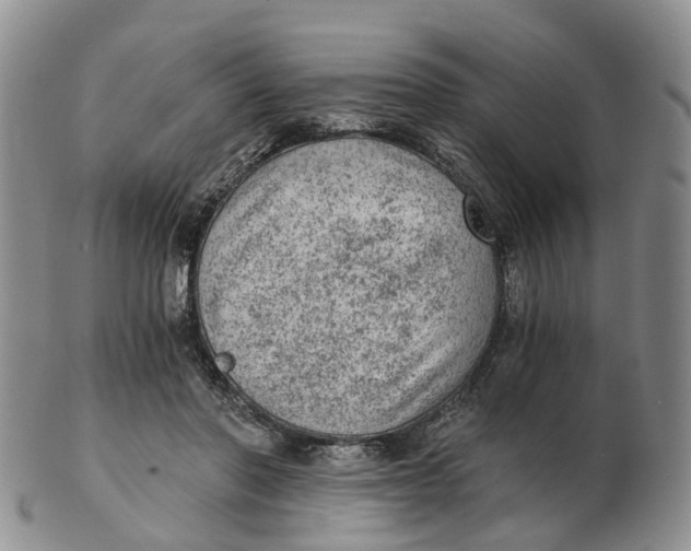 X0000103160406200809121842