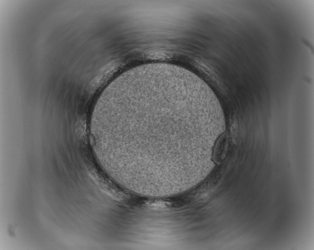 X0000103160407200809121842