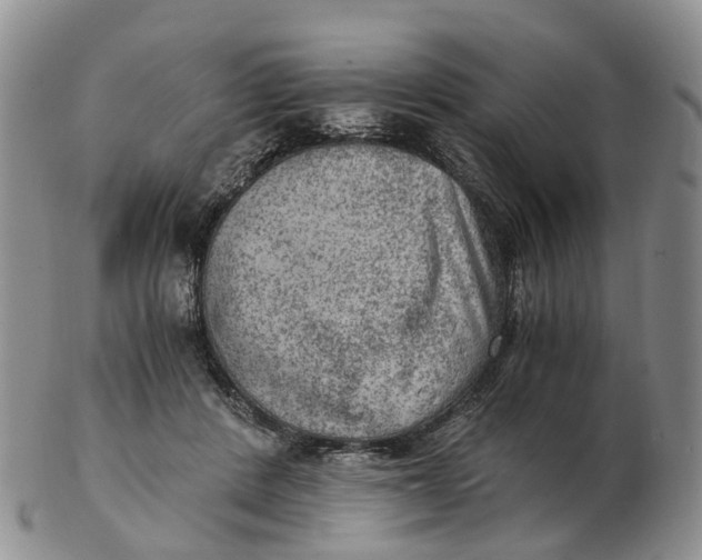 X0000103160408200809121842