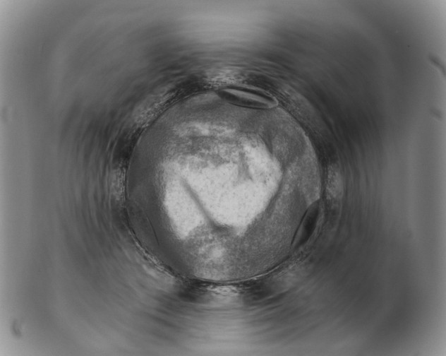 X0000103160409200809121842