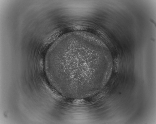 X0000103160410200809121842