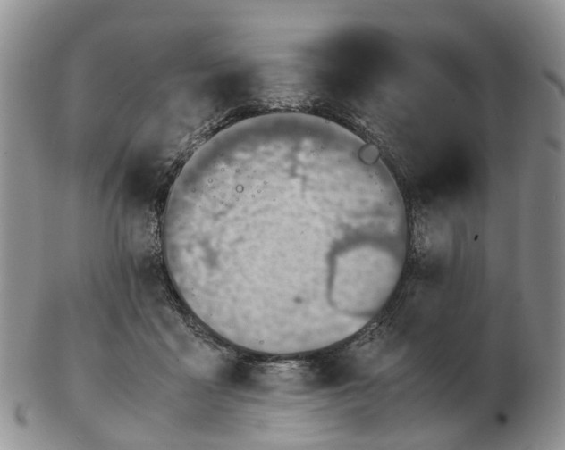 X0000103160411200809121842