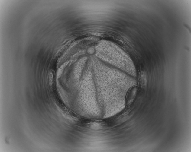 X0000103160412200809121842