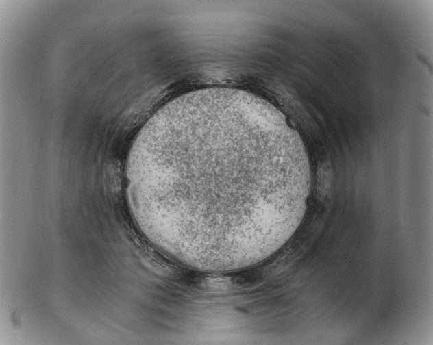 X0000103160413200809121842