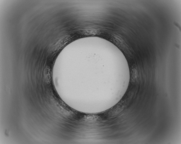 X0000103160414200809121842