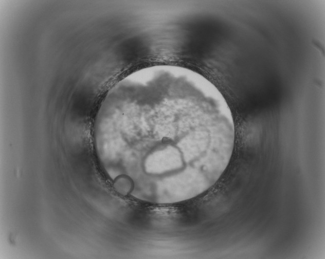 X0000103160415200809121842