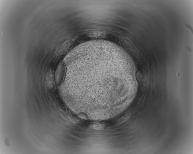 X0000103160416200809121842