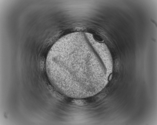 X0000103160417200809121842