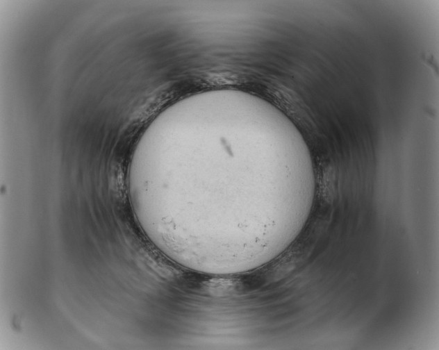 X0000103160418200809121842