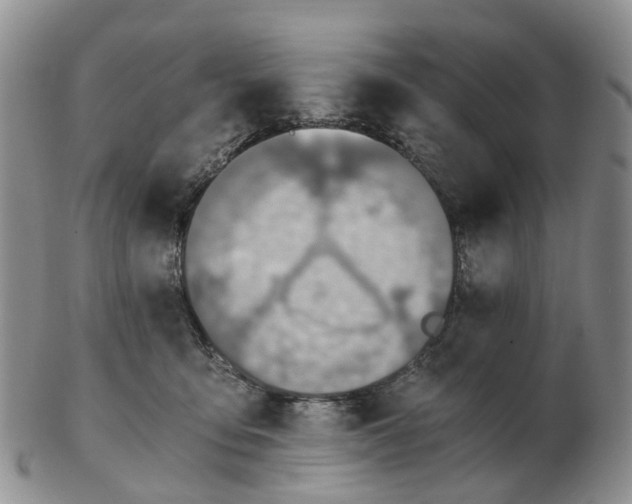 X0000103160419200809121842