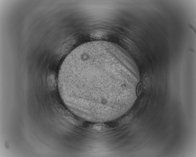 X0000103160420200809121842